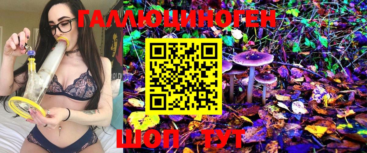 Тверь  Псилоцибиновые грибы Psilocybe  Вход с VPN 